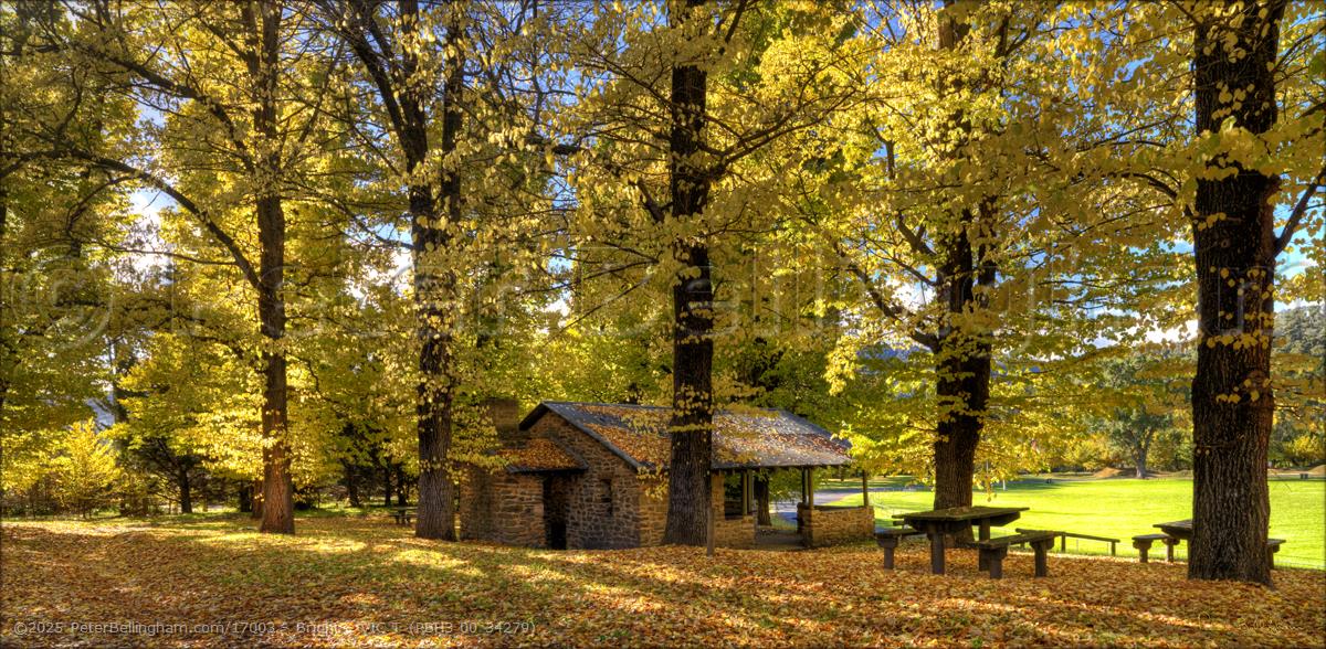 Peter Bellingham Photography Bright - VIC T (PBH3 00 34279)